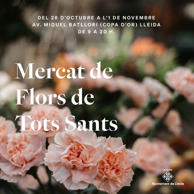 Imatge del event Mercat de les flors