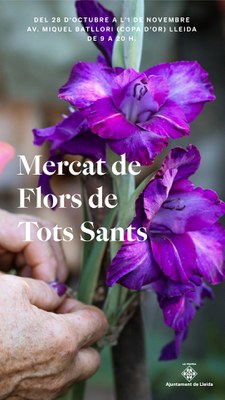 Imatge del event Mercat de les flors