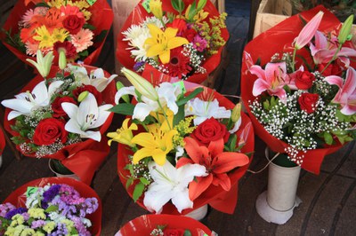 MERCAT DE TOTS SANTS