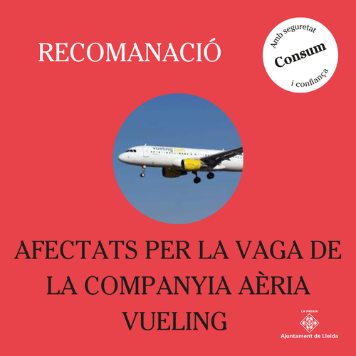 Imatge de la notícia Recomanació: AFECTATS PER LA VAGA DE LA COMPANYIA AÈRIA VUELING 