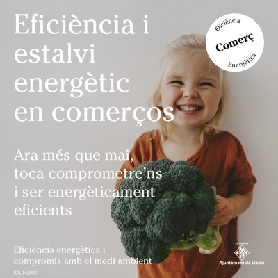 POST - Eficiència energètica 1