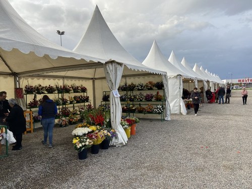 Imatge de la notícia Gaudeix de la tradició amb les parades de castanyes i el Mercat de Tots Sants