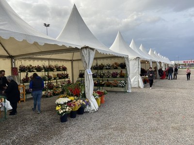 Gaudeix de la tradició amb les parades de castanyes i el Mercat de Tots Sants