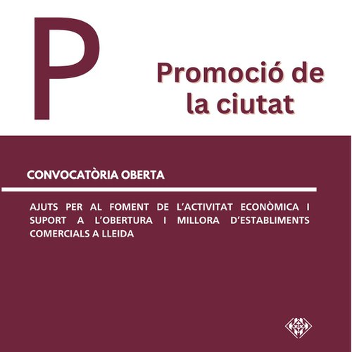 Imatge de la notícia Ajuts per al foment de l'activitat econòmica i suport a l'obertura i millora d'establiments comercials a Lleida