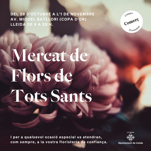 Imatge de la notícia El Mercat de les Flors de Tots Sants, instal·lat a partir del 28 d’octubre a l’av. Miquel Batllori 