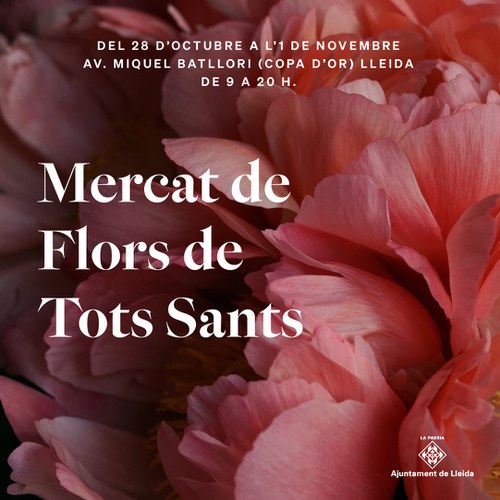 Imatge de la notícia Mercat de Flors de Tots Sants del 28 d’octubre a l’1 de novembre 