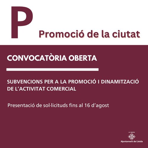 Imatge de la notícia Oberta la convocatòria de subvencions per a la promoció i dinamització de l'activitat comercial de Lleida.