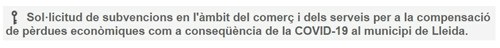 Imatge de la notícia S’amplia, fins el dia 19 de novembre, el termini per a sol·licitar els ajuts al comerç, la restauració, els serveis i la venda no sedentària per a la ciutat de Lleida