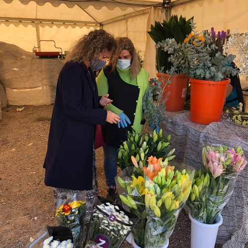 Imatge de la notícia Sis parades al Mercat de Flors de Tots Sants a l’esplanada de l'avinguda Miquel Batllori 
